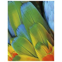 Boja tempera za tekstil 125ml Primo 410TX125100 bijela