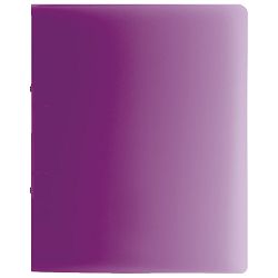 Mapa uložna 2ringa-fi16 mm A4 pp Fact Brunnen 10-65516 98 sort