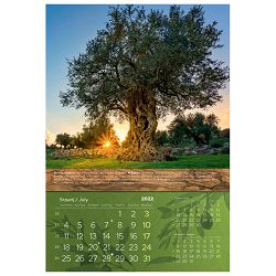 Kalendar "Masline 2023" 13 listova, spirala