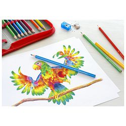 Boje drvene  12boja trokutaste Faber-Castell 116512 blister