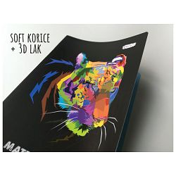 Obrazac školski matematika za 3 i 4razred Soft+ Connect Boy