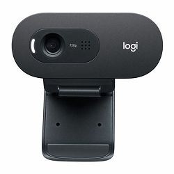 WEB kamera Logitech C505e HD