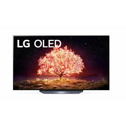 LG OLED TV OLED55B13LA