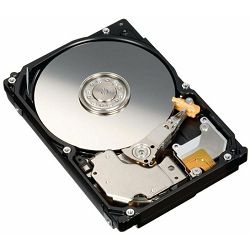 FS HDD 2.5 SAS 300GB 10K HOT PL EP