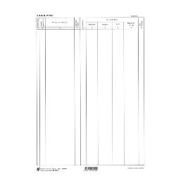 VIII-4 ULOŽAK ZA SITUACIJU - PREDRAČUN; List, 21 x 29,7 cm
