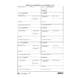 XIII-136 POPIS STAVKI SKRAĆENE DEKLARACIJE ZA PRIVREMENI SMJEŠTAJ PSSD; List, 21 x 29,7 cm