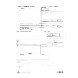 XIII-141 IZVOZNA SIGURNOSNA JEDINSTVENA CARINSKA DEKLARACIJA; Set 3 lista, 21 x 29,7 cm