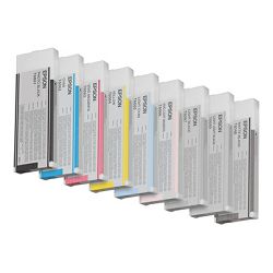 EPSON Ink Light Black T606700