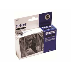 EPSON T048 BLACK BR FOR R300