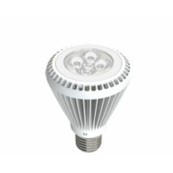 EcoVision LED žarulja E27, 7W, 350lm, 4000K, PAR22