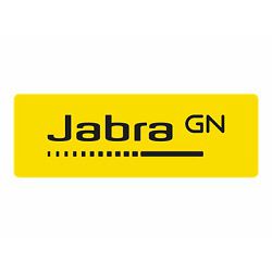 JABRA LINK 230 QD to USB