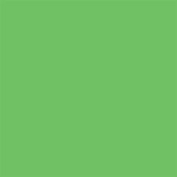Papir hamer B1 220gr.int. svijetlo zeleni GREEN 10/1 HW640 P10