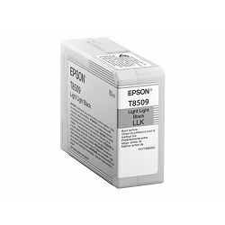 EPSON Singlepack Light Light Black