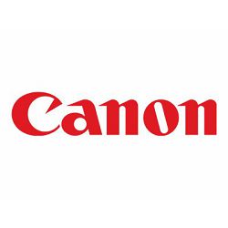 CANON PHOTO PAPER PRO PT-101 4x6 50