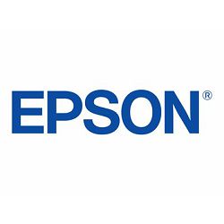 EPSON UltraChrome RS Light Magenta, C13T48G64A