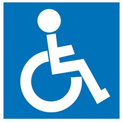 Naljepnica Apli osobe s invaliditetom 839