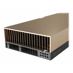PNY NVIDIA A40 Module PASSIVE COOLED TCSA40M-PB