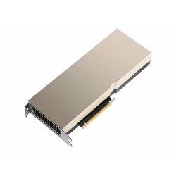 PNY NVIDIA A100 Module 40GB HBM2 TCSA100M-PB