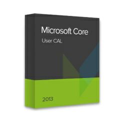 Microsoft Core 2013 User CAL ESD elektronička licenca