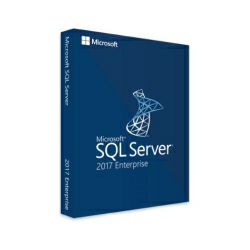 Microsoft SQL Server 2017 Enterprise (2 cores) ESD elektronička licenca