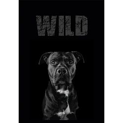Bilježnica A4 52 l karo animal wild