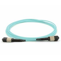 NFO Patch cord, MTP-12 (Female) to MTP-12 (Female) OM4 Multimode, 12 Fibers, Type B, 3m