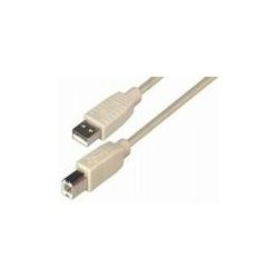 Transmedia USB 2.0 AB, Beige, 5m