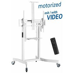 Transmedia Motorized Pedestal for Flat Screens