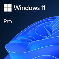 MS Windows 11 Professional 64-bit Cro