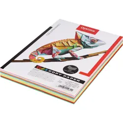 Papir fotok.OPTIMA A4 10 boja MIX (5 past.+5 int.) 80gr. 250/1 P10