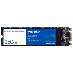 SSD WD Blue SN550 250GB, M.2, PCIe NVMe Read/Write: 2400 / 950 MB/s, 170k/135k IOPS, TBW 150TB