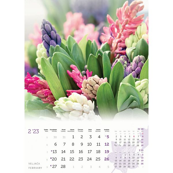 cvijece-13-list-dim-24x535-cm-pvc-vrecica-p50-color-kalendar-5076-002092-og_188113.jpg