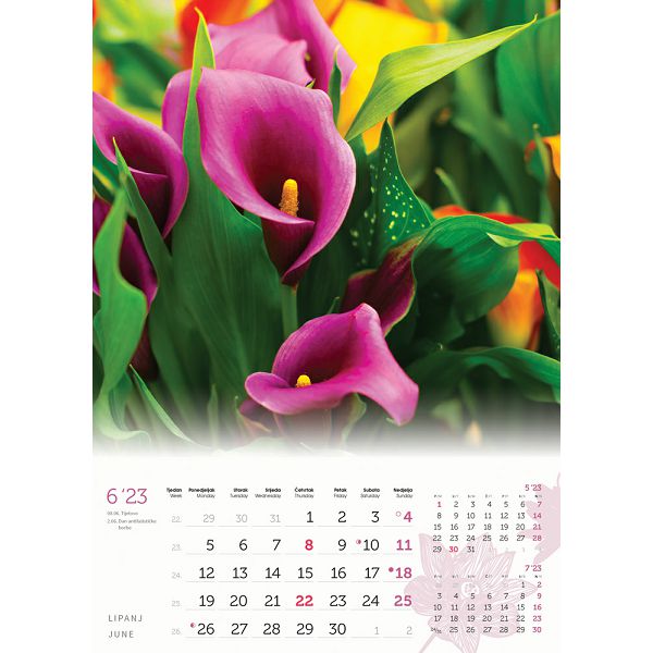 cvijece-13-list-dim-24x535-cm-pvc-vrecica-p50-color-kalendar-5076-002092-og_188116.jpg