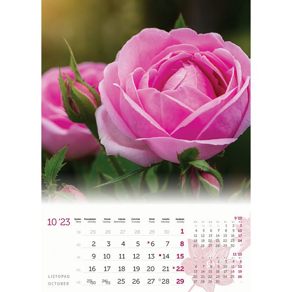 cvijece-13-list-dim-24x535-cm-pvc-vrecica-p50-color-kalendar-5076-002092-og_188120.jpg