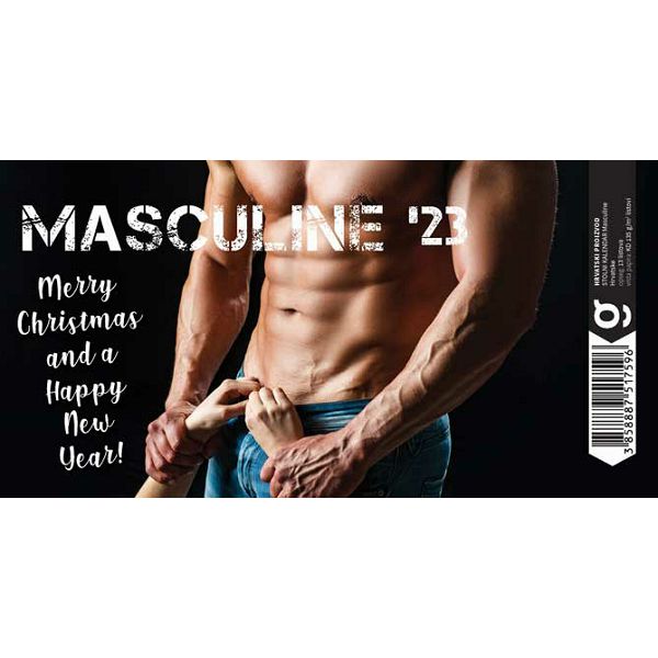 masculine-13-list-dim-205x145-cm-stolni-kalendar-koverta-p50-63379-004183-og_1.jpg