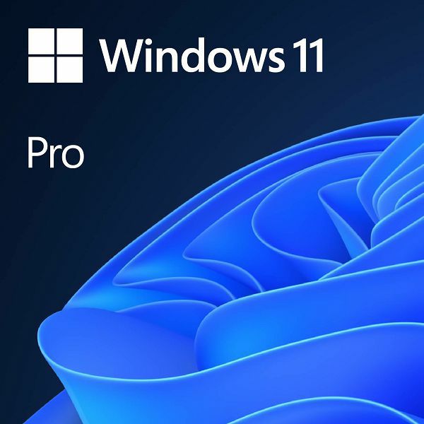 ms-w11-pro64-eng_1.jpg